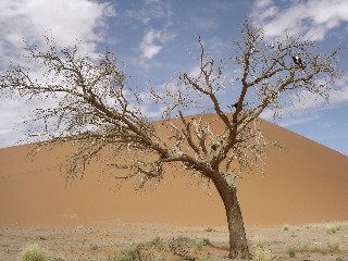 NaDuene1