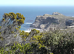 Cape of Good Hope